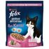 Сухой корм для котят Felix Двойная Вкуснятина с курочкой 600 г