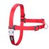 Шлейка для собак RedDingo No-pull р. M 25−37*50−70см*2,0 см, цвет красный, нейлон