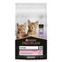 Сухой корм для котят с чувствительным пищеварением Pro Plan Kitten Delicate Digestion с индейкой 10 кг