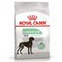 Сухой корм для собак крупных пород с чувствительным пищеварением Royal Canin Maxi Digestive Care 3 кг