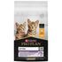 Сухой корм для котят от 1 до 12 месяцев Pro Plan Kitten Healthy Start с курицей 10 кг