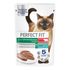 Влажный корм для стерилизованных кошек Perfect Fit Паштет с говядиной 75 г