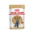 Влажный корм для кошек породы Британская короткошерстная Royal Canin Adult British Shorthair Кусочки в соусе 85 г
