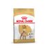 Сухой корм для собак породы Пудель Royal Canin Adult Poodle 1,5 кг