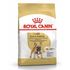 Сухой корм для собак породы Французский Бульдог Royal Canin French Bulldog Adult 3 кг