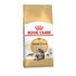Сухой корм для кошек породы Мэйн Кун Royal Canin Maine Coon Adult 2 кг