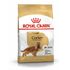 Сухой корм для собак породы Кокер-Спаниель Royal Canin Cocker Adult 3 кг