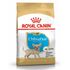 Сухой корм для щенков породы Чихуахуа Royal Canin Puppy Chihuahua 500 г