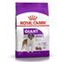 Сухой корм для собак гигантских пород старше 18/24 месяцев Royal Canin Giant Adult 4 кг
