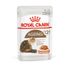 Влажный корм для кошек старше 12 лет Royal Canin Ageing +12 Кусочки в соусе 85 г