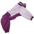 ForMyDogs Дождевик Капли фиолетовый для девочек 40×60 см