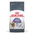 Сухой корм для кошек для контроля выпрашивания корма Royal Canin Appetite Control Care 400 г