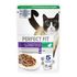 Влажный корм для кошек для поддержания здоровья почек Perfect Fit Кусочки с кроликом в соусе 75 г