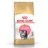 Сухой корм для котят Персидской породы Royal Canin Kitten Persian 400 г