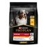 Сухой корм для собак средних пород Pro Plan Everyday Nutrition Adult Medium с курицей 3 кг