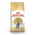 Сухой корм для кошек породы Британская короткошерстная Royal Canin British Shorthair Adult 10 кг