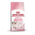 Сухой корм для котят с 4 до 12 месяцев Royal Canin Kitten 300 г