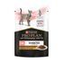 Влажный корм для кошек при сахарном диабете Pro Plan Veterinary Diets DM Diabetes Management Кусочки с курицей в соусе 85 г