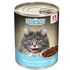 Влажный корм для кошек Зоогурман Big Cat Кусочки с говядиной в желе 350 г