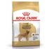 Сухой корм для собак породы Золотистый Ретривер Royal Canin Golden Retriever Adult 3 кг