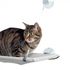 All For Paws Гамак Classic подвесной на окно для кошек 51*31*2,5 см