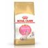Сухой корм для котят породы Сфинкс Royal Canin Kitten Sphynx 400 г