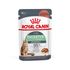 Влажный корм для кошек с чувствительным пищеварением Royal Canin Digest Sensitive Care Кусочки в соусе 85 г
