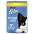Влажный корм для кошек Felix Природа вкуса Кусочки с курицей в соусе 75 г